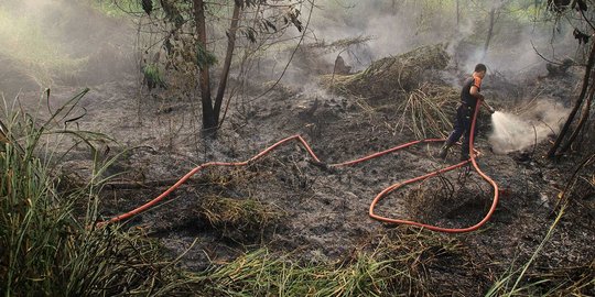 Khawatir ganggu Asian Games, Sumsel tetapkan siaga kebakaran hutan