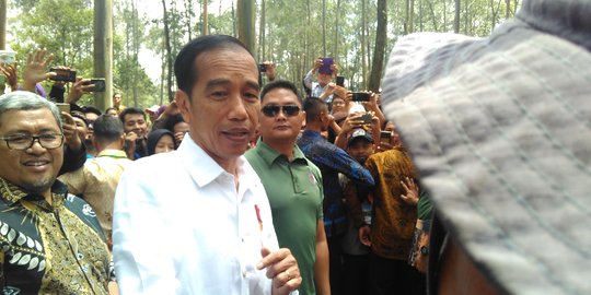 Di Tabanan, Jokowi datangi proyek padat karya libatkan 25 warga setempat