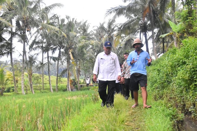 jokowi dan basuki hadimuljono di lokasi pkt irigasi kecil di desa kukuh