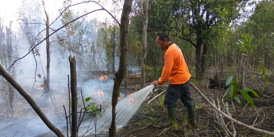 BNPB antisipasi kebakaran hutan selama pelaksanaan Asian Games 2018