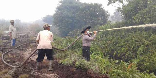 Sejak Januari, 680 hektare lahan di Riau terbakar