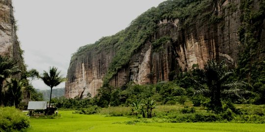 Lahan pertanian terbatas, Sumbar butuh penggerak ekonomi 