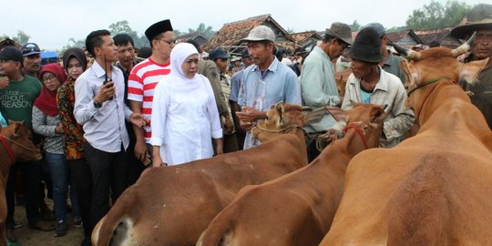 Blusukan di pasar Tanah Merah Madura, Khofifah dengar curhatan pedagang