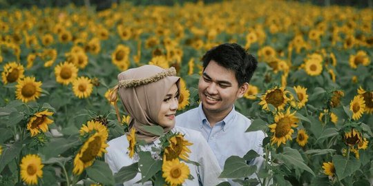 6 Kebun  bunga  matahari  paling Instagram able di  Indonesia 