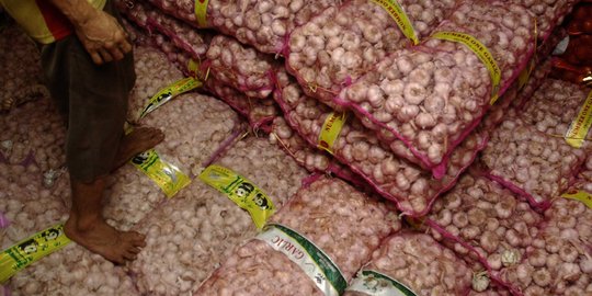 Kenaikan harga bawang putih dicemaskan picu kelangkaan