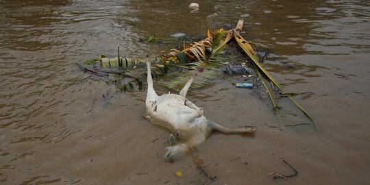 Wajah kumuh Citarum, sungai paling tercemar di dunia