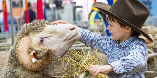 Sydney Royal Easter Show, festival pertanian yang paling ditunggu di Australia