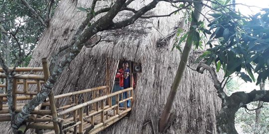Lagi di Bali, coba sensasi makan di atas pohon di Bukit Lemped Karangasem Bali