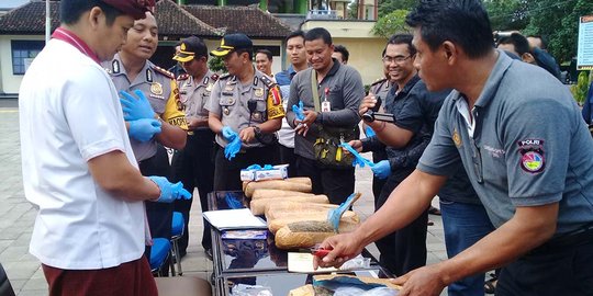 Polisi gagalkan penyelundupan ganja ke Lapas Kerobokan