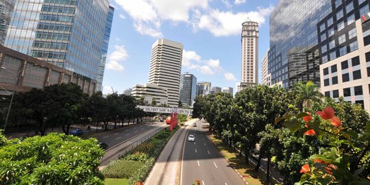 Dampak penataan trotoar, pohon-pohon di Jl Sudirman-Thamrin dipindah