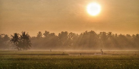 Pengusaha RI kumpul di JCC bahas peningkatan produksi serta kesejahteraan petani