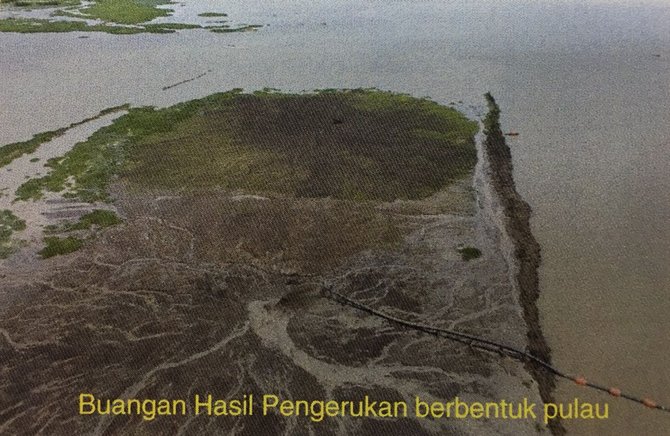 revitalisasi danau tempe