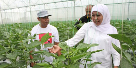 Sosok Nyai Aisyah, adik Gus Dur di mata Khofifah Indar Parawansa