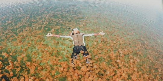 Selfie bareng ubur-ubur tanpa sengat di Danau Kakaban