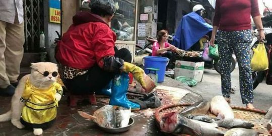 Imutnya penjual ikan asal Vietnam ini bisa bikin kamu salfok!