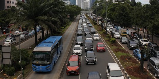 Ratusan pohon di Jalan Sudirman ditebang buat trotoar