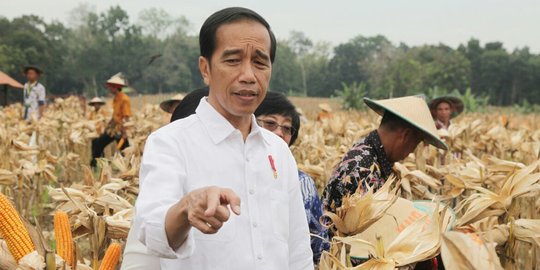 Akhir Maret, Jokowi janji obrak-abrik perizinan demi perbaiki ekspor dan investasi