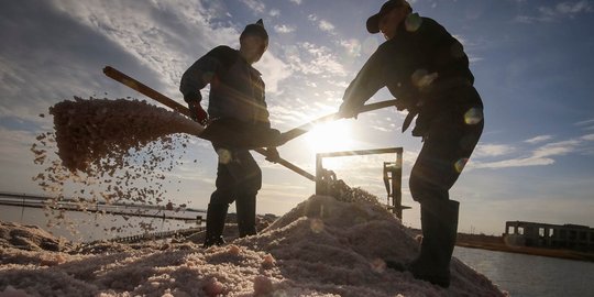 Pemerintah diminta berinovasi soal garam industri agar tak impor lagi