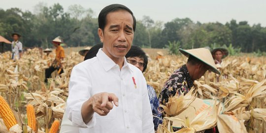 Ini alasan Jokowi sering singgah ke pondok pesantren saat berkunjung ke daerah