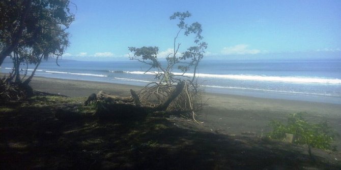 Suasana pesisir Desa Delod (credit : Merdeka.com)