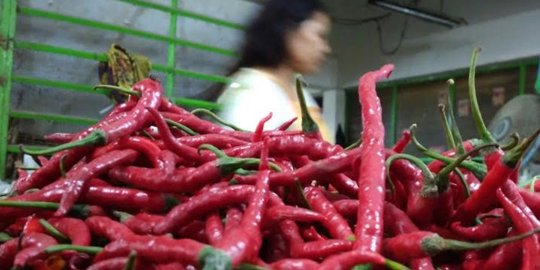 Harga cabai merah di Medan meroket jadi Rp 45.000 per Kg