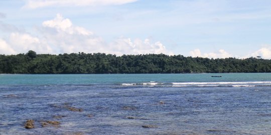 Ketua DPR ingatkan pemerintah tuntaskan penamaan 4.000 pulau