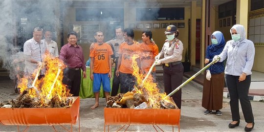 36,8 Kg ganja dibakar di kantor polisi