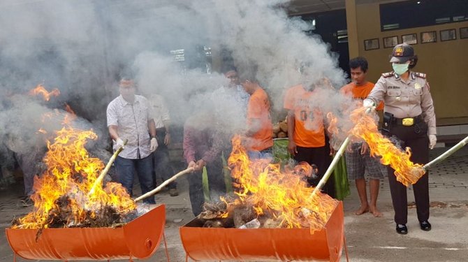 368 kg ganja dibakar di kantor polisi