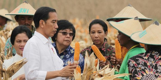 Strategi parpol mendompleng popularitas Jokowi demi suara di Pemilu 2019