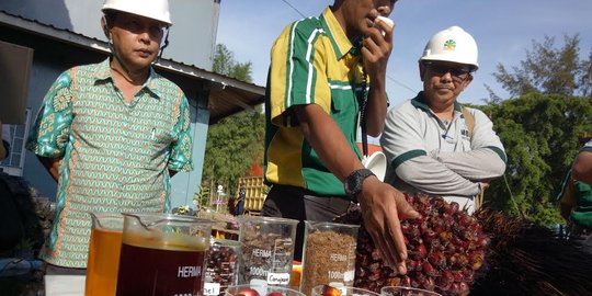 Upah buruh sawit tembus Rp 6 juta per bulan, lebih tinggi dibanding PNS