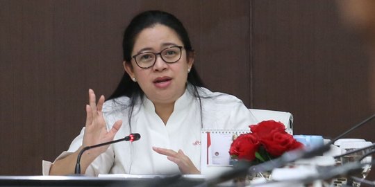 Puan sebut PDIP dorong kader muda jadi cawapres Jokowi