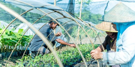 Februari 2018, upah buruh tani hingga PRT meningkat