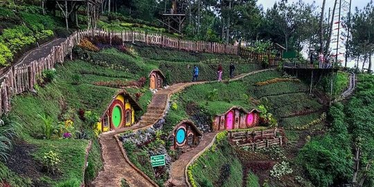 rais hobbiton matamata selandia baru