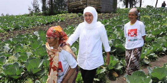 Khofifah dorong kawasan Bromo masuk proyek strategis nasional