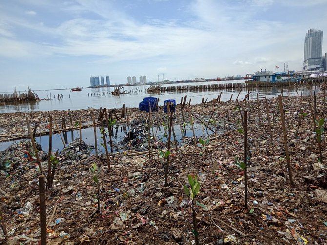 pembersihan sampah di muara angke