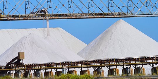 Ini alasan Indonesia masih perlu impor garam industri