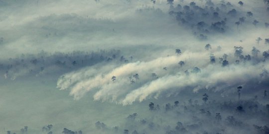 BNPB kirim Heli Bell dan Kamov untuk kebakaran hutan di Riau