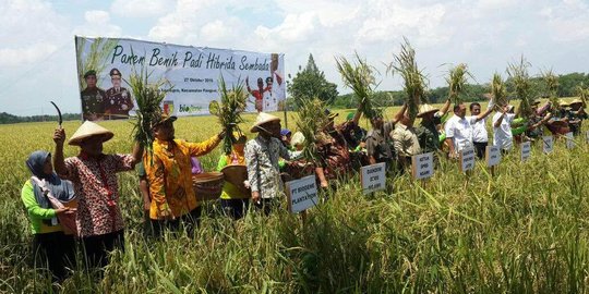 Pemerintah diminta beri harga gabah yang kompetitif kepada petani