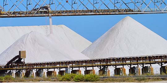 Kekurangan bahan baku garam, industri biskuit & makanan ringan berhenti beroperasi