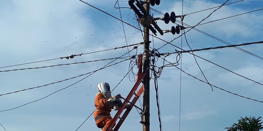 Hendak evakuasi sarang tawon, petugas Damkar Samarinda disengat