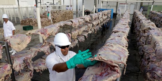 Pemerintah bakal impor daging sapi dari Brasil, berapa jumlahnya?