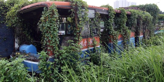 Mengunjungi makam bus Metromini di Rawa Buaya