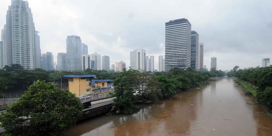 PLN Disjaya ajak masyarakat lestarikan sungai Ciliwung
