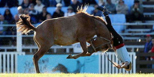 Aksi ekstrem para gaucho taklukan kuda liar di Uruguay