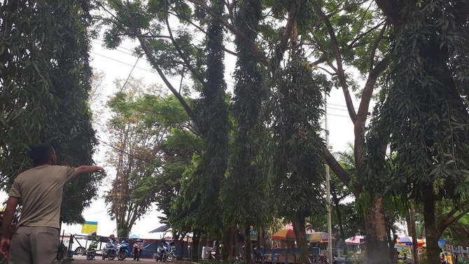 tawon serang warga di taman cerdas