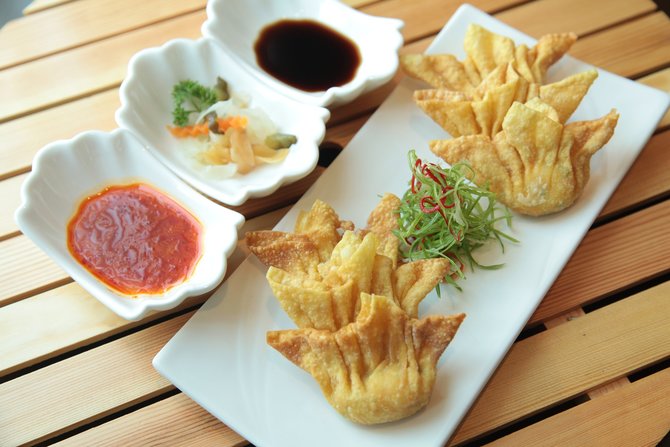 ilustrasi wonton goreng