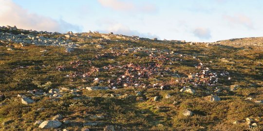 tewas bersamaan tersambar petir rev2