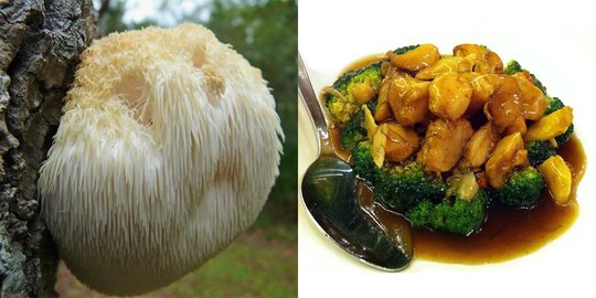 Lion's mane mushroom, 'daging' nabati primadona panganan vegetarian