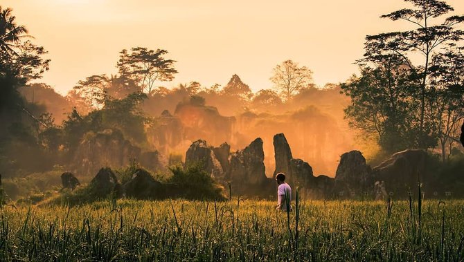 tebing koja