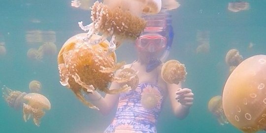 raja ampat rev2